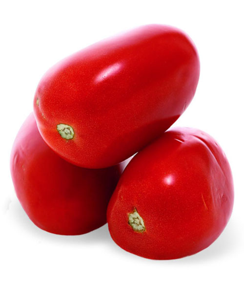 Tomato (Plum) TOD Farms